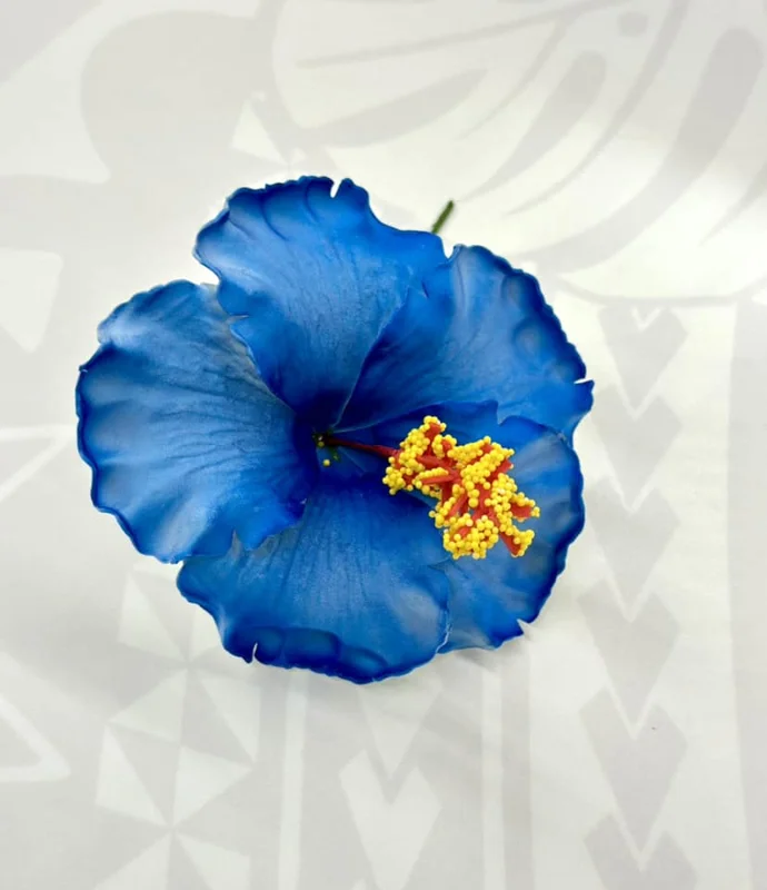 Hibiscus - 13cm