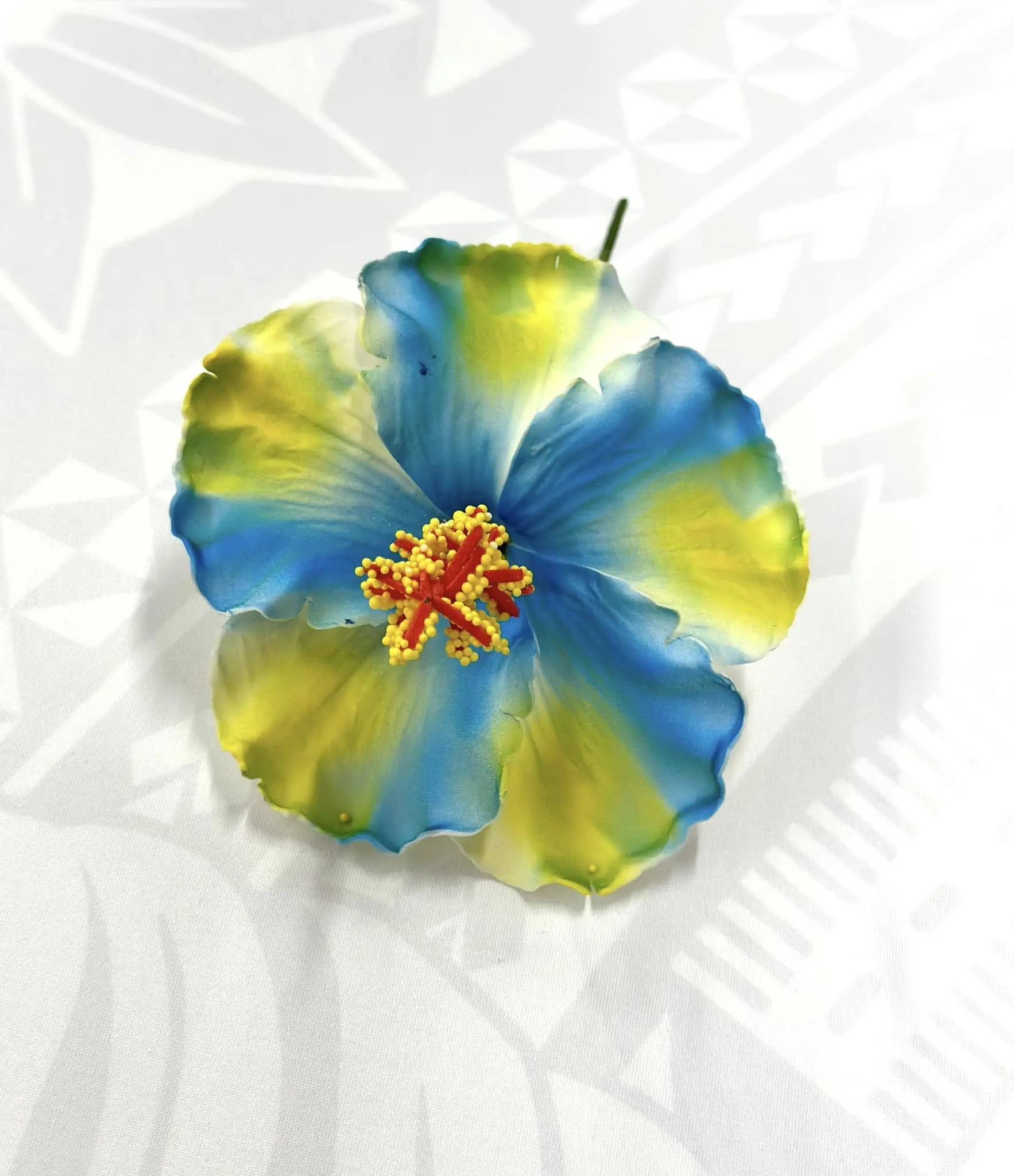 Hibiscus - 13cm
