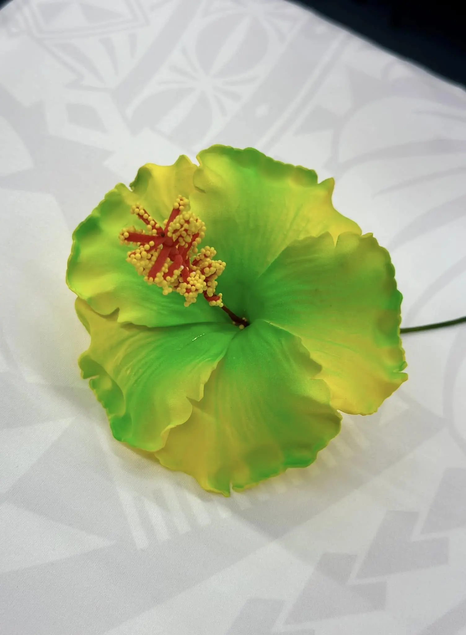 Hibiscus - 13cm