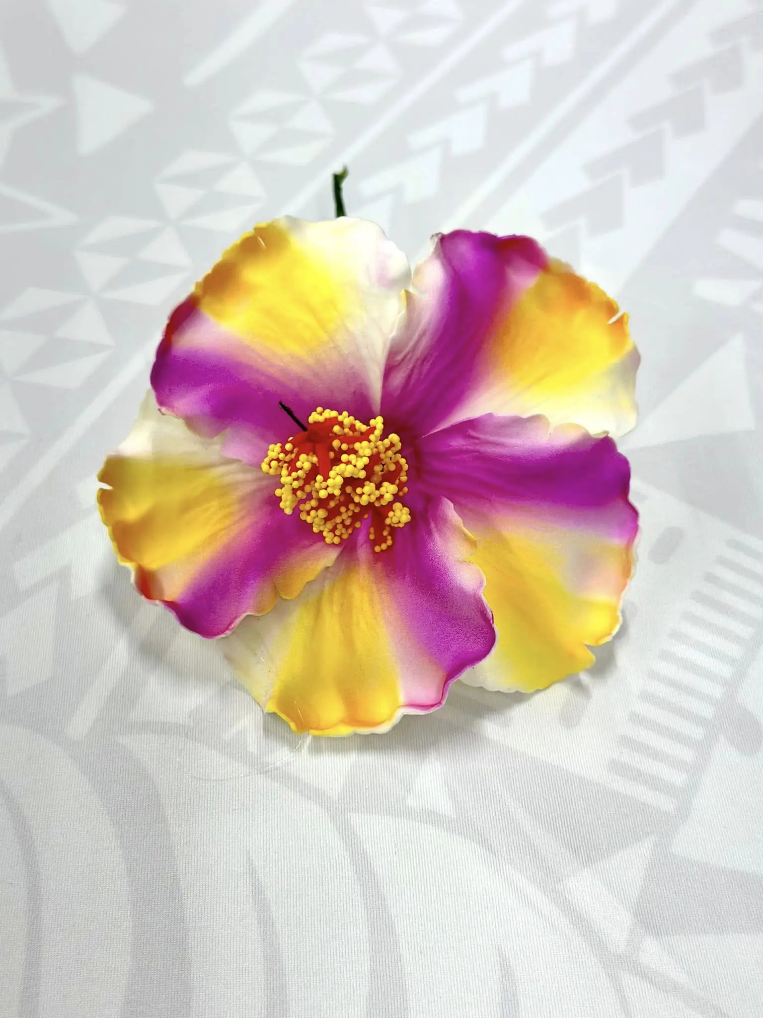 Hibiscus - 13cm