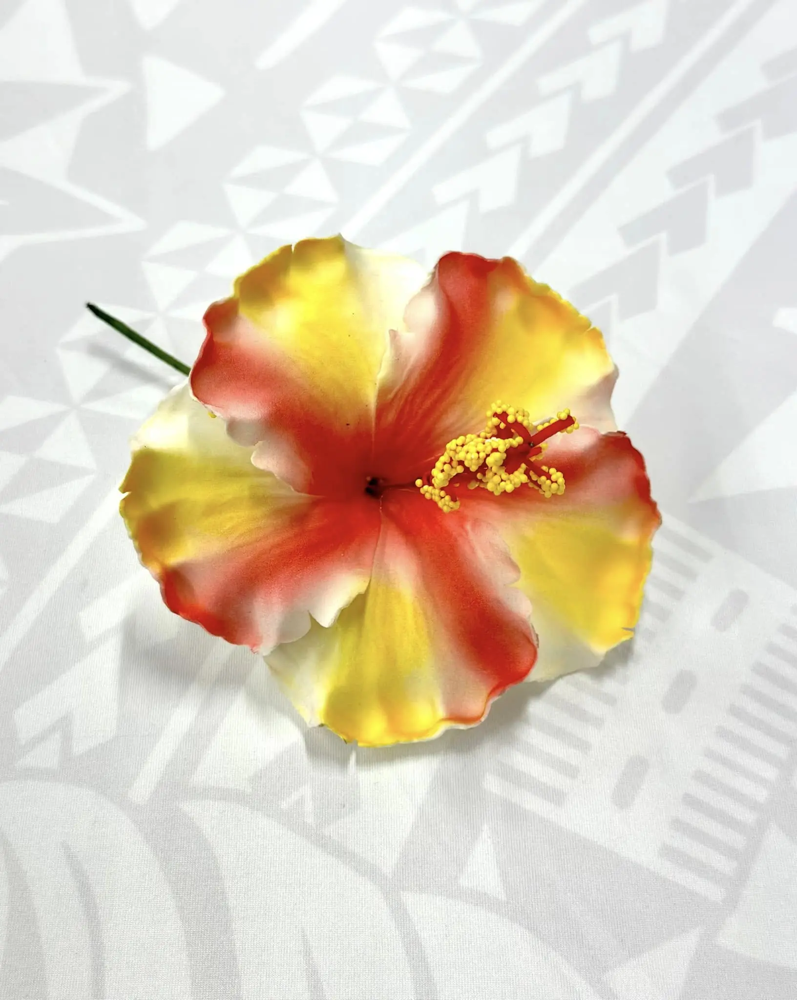 Hibiscus - 13cm
